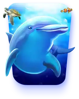 Dolphin Reef