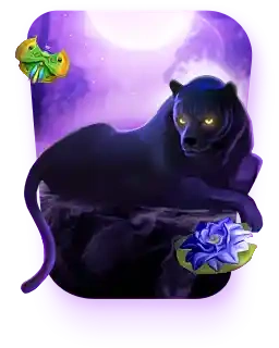 Panther Moon